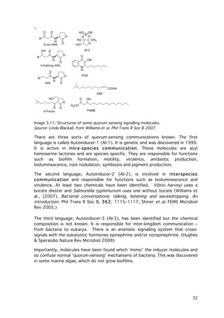 Image 3.11: Structures of some quorum sensing signalling molecules.
Source: Linda Blackall, from Williams et al. Phil Trans R Soc B 2007.

There are three sorts of quorum-sensing communications known. The first
language is called Autoinducer-1 (AI-1). It is genetic and was discovered in 1990.
It is active in intra-species com m unication. These molecules are acyl
homoserine lactones and are species specific. They are responsible for functions
such as biofilm formation, motility, virulence, antibiotic production,
bioluminescence, root nodulation, symbiosis and pigment production.
The second language, Autoinducer-2 (AI-2), is involved in interspecies
com m unication and responsible for functions such as bioluminescence and
virulence. At least two chemicals have been identified. Vibrio harveyi uses a
borate diester and Salmonella typhimurium uses one without borate (Williams et
al., (2007), Bacterial conversations: talking, listening and eavesdropping. An
introduction. Phil Trans R Soc B, 362, 1115–1117; Shiner et al. FEMS Microbiol
Rev 2005.)
The third language, Autoinducer-3 (AI-3), has been identified but the chemical
composition is not known. It is responsible for inter-kingdom communication –
from bacteria to eukarya. There is an aromatic signalling system that crosssignals with the eukaryotic hormones epinephrine and/or norepinephrine. (Hughes
& Sperandio Nature Rev Microbiol 2008)
Importantly, molecules have been found which ‘mimic’ the inducer molecules and
so confuse normal ‘quorum-sensing’ mechanisms of bacteria. This was discovered
in some marine algae, which do not grow biofilms.

	
  

32	
  

 