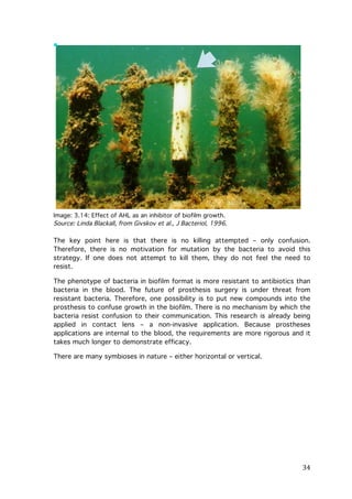 Image: 3.14: Effect of AHL as an inhibitor of biofilm growth.
Source: Linda Blackall, from Givskov et al., J Bacteriol, 1996.

The key point here is that there is no killing attempted – only confusion.
Therefore, there is no motivation for mutation by the bacteria to avoid this
strategy. If one does not attempt to kill them, they do not feel the need to
resist.
The phenotype of bacteria in biofilm format is more resistant to antibiotics than
bacteria in the blood. The future of prosthesis surgery is under threat from
resistant bacteria. Therefore, one possibility is to put new compounds into the
prosthesis to confuse growth in the biofilm. There is no mechanism by which the
bacteria resist confusion to their communication. This research is already being
applied in contact lens – a non-invasive application. Because prostheses
applications are internal to the blood, the requirements are more rigorous and it
takes much longer to demonstrate efficacy.
There are many symbioses in nature – either horizontal or vertical.

	
  

34	
  

 
