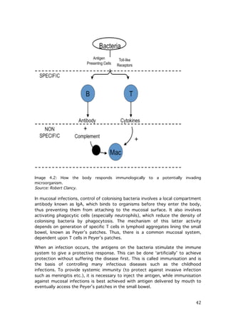 Image 4.2: How the
microorganism.
Source: Robert Clancy.

body

responds

immunologically

to

a

potentially

invading

In mucosal infections, control of colonising bacteria involves a local compartment
antibody known as IgA, which binds to organisms before they enter the body,
thus preventing them from attaching to the mucosal surface. It also involves
activating phagocytic cells (especially neutrophils), which reduce the density of
colonising bacteria by phagocytosis. The mechanism of this latter activity
depends on generation of specific T cells in lymphoid aggregates lining the small
bowel, known as Peyer’s patches. Thus, there is a common mucosal system,
dependent upon T cells in Peyer’s patches.
When an infection occurs, the antigens on the bacteria stimulate the immune
system to give a protective response. This can be done ‘artificially’ to achieve
protection without suffering the disease first. This is called immunisation and is
the basis of controlling many infectious diseases such as the childhood
infections. To provide systemic immunity (to protect against invasive infection
such as meningitis etc.), it is necessary to inject the antigen, while immunisation
against mucosal infections is best achieved with antigen delivered by mouth to
eventually access the Peyer’s patches in the small bowel.

	
  

42	
  

 