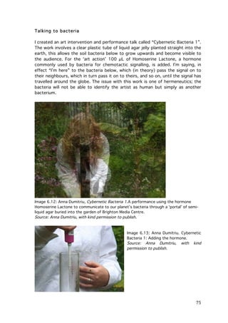 Talking to bacteria
I created an art intervention and performance talk called “Cybernetic Bacteria 1”.
The work involves a clear plastic tube of liquid agar jelly planted straight into the
earth, this allows the soil bacteria below to grow upwards and become visible to
the audience. For the ‘art action’ 100 µL of Homoserine Lactone, a hormone
commonly used by bacteria for chemotactic signalling, is added. I’m saying, in
effect “I’m here” to the bacteria below, which (in theory) pass the signal on to
their neighbours, which in turn pass it on to theirs, and so on, until the signal has
travelled around the globe. The issue with this work is one of hermeneutics; the
bacteria will not be able to identify the artist as human but simply as another
bacterium.

Image 6.12: Anna Dumitriu, Cybernetic Bacteria 1.A performance using the hormone
Homoserine Lactone to communicate to our planet’s bacteria through a ‘portal’ of semiliquid agar buried into the garden of Brighton Media Centre.
Source: Anna Dumitriu, with kind permission to publish.

Image 6.13: Anna Dumitriu. Cybernetic
Bacteria 1: Adding the hormone.
Source: Anna Dumitriu, with kind
permission to publish.

	
  

75	
  

 