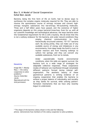 Box 3. A Model of Social Cooperation
Eshel Ben Jacob
Bacteria, being the first form of life on Earth, had to devise ways to
synthesize the complex organic molecules required for life. They are able to
reverse the spontaneous course of entropy increase and convert highentropy inorganic substances into low-entropy life-sustaining molecules.
Three and a half billion years have passed, and the existence of higher
organisms depends on this unique bacterial know-how. Even for us, with all
our scientific knowledge and technological advances, the ways bacteria solve
this fundamental requirement for life is still a mystery. We do know that this
is not a solitary endeavor for the bacteria, and under natural conditions they
employ
chemical
communication
to
form
9
12
hierarchically structured colonies, 10 -10 bacteria
each. By acting jointly, they can make use of any
available source of energy and imbalances in any
environments, from deep inside the Earth's crust to
nuclear reactors and from freezing icebergs to
sulfuric hot springs; and they can convert any
available substances, from tar to metals.

Hexamita
Image EBJ 1: Bloody
Mary — the colony
cooperates to solve
problems.9
Source: Eshel Ben
Jacob.
Reproduced with his
kind permission.

Under
unpredictable
hostile
environmental
conditions, when the odds are against survival, the
bacteria turn to a wide range of strategies for
adaptable collective responses. These cooperative
modes of behavior are manifested through remarkable
different patterns formed during colonial selforganization. The aesthetic beauty of these
geometrical patterns is striking evidence of an
ongoing cooperation that enables the bacteria to
achieve a proper balance of individuality and sociality
as they battle for survival, while utilizing patternformation mechanisms that we have only recently
begun to understand.

	
  	
  	
  	
  	
  	
  	
  	
  	
  	
  	
  	
  	
  	
  	
  	
  	
  	
  	
  	
  	
  	
  	
  	
  	
  	
  	
  	
  	
  	
  	
  	
  	
  	
  	
  	
  	
  	
  	
  	
  	
  	
  	
  	
  	
  	
  	
  	
  	
  	
  	
  	
  	
  	
  	
  	
  
The shape of the bacteria colony shown in this and the following
photos demonstrate how members of the colony cooperate to solve problems.

9

	
  

	
  

93	
  

 