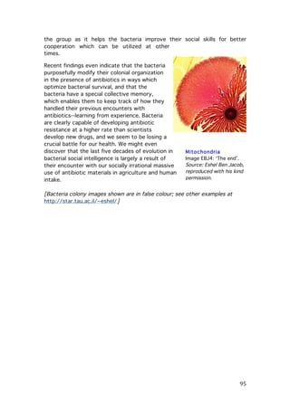 the group as it helps the bacteria improve their social skills for better
cooperation which can be utilized at other
times.
Recent findings even indicate that the bacteria
purposefully modify their colonial organization
in the presence of antibiotics in ways which
optimize bacterial survival, and that the
bacteria have a special collective memory,
which enables them to keep track of how they
handled their previous encounters with
antibiotics--learning from experience. Bacteria
are clearly capable of developing antibiotic
resistance at a higher rate than scientists
develop new drugs, and we seem to be losing a
crucial battle for our health. We might even
discover that the last five decades of evolution in
bacterial social intelligence is largely a result of
their encounter with our socially irrational massive
use of antibiotic materials in agriculture and human
intake.

Mitochondria
Image EBJ4: ‘The end’.
Source: Eshel Ben Jacob,
reproduced with his kind
permission.

[Bacteria colony images shown are in false colour; see other examples at
http://star.tau.ac.il/~eshel/]

	
  

95	
  

 