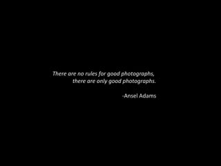 There are no rules for good photographs,
there are only good photographs.
-Ansel Adams
 