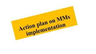 Mms Program Comprehensive Action Plan for MMS Program Implementation in Healthcare ...