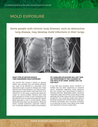 Mold Assessment Miami Beach | PDF