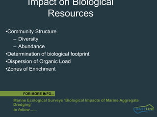 Methods of MiningThe type of mining operation is dictated by a number of factors. Where the geological deposits are extremely restricted, mining is commonly from a dredger at anchor.  This leads to relatively deep dredge pits on the sea bed, and is consequently restricted in many areas for environmental reasons.A more efficient and widespread operation is for a trailer dredger to remove sea bed deposits whilst underway.  This leads to shallow dredge furrows of up to nominal 0.5 metre depth formed by each pass of the drag head, the worked area spread over a wider expanse of the seabed.  Sometimes these furrows will impinge on each other forming ‘sweet spots’ or areas of increased deepening.This form of dredging is sometimes carried out by several vessels operating close to one another in intensively worked production licence sites.One of the objectives of our work has been to compare the impact of anchor dredging with that of trailer dredging on benthic biological resources. 