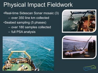 Distribution of deposited sediments 