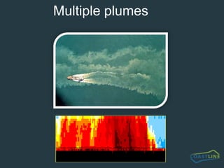 ? Compaction profiles of sediment (CPT) 