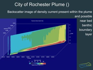LimitationsBecause cargoes are non-screened (all-in), our study shows the impact of the dredging process itself but does not address the potential impacts of discharge of relatively large quantities of screened material which occurs in many production licence areas, especially in the North Sea