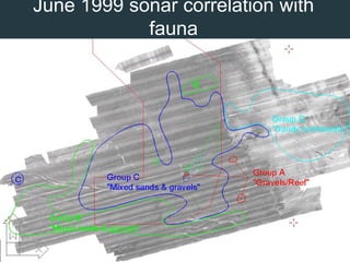 City of Chichester Plume ()Backscatter image of density current present within the plumeSection across the higher concentrations of the plume , tidal excursion is to the NE (top right) and SW (bottom left)