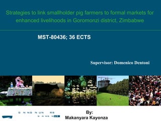 Strategies to link smallholder pig farmers to formal markets for 
enhanced livelihoods in Goromonzi district, Zimbabwe 
MST-80436; 36 ECTS 
Supervisor: Domenico Dentoni 
By: 
Makanyara Kayonza 
 