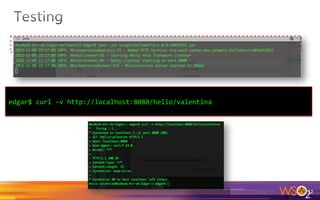 o  The simplest Java Class startup
o  See the main method:
12	
public class Application {	
public static void main(String[] args) {	
new MicroservicesRunner()	
.deploy(new HelloService())	
.start();	
}	
 