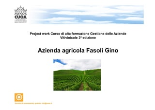 Project work Corso di alta formazione Gestione delle Aziende 
Vitivinicole 3ª edizione 
Azienda agricola Fasoli Gino 
 