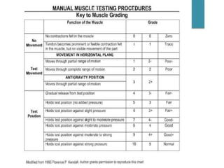 Manual Muscle Testing Worksheet Assessment of manual muscle testing ppt | PPTX
