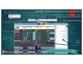 Color	by	CDS	frame,	toggle	strands,	
set	color	scheme	and	highlights.
Upload	evidence	files	(GFF3,	BAM,	BigWig),	
add	combination and	sequence	search	tracks.
Query	the	genome	using	BLAT.
Navigation	and	zoom.
Search	for	a	gene	model	
or	a	scaffold.
User-created	annotations.
Annotator	panel.
Evidence	Tracks.
Stage	and	cell-type	
specific	transcription	
data.
Admin
Protein coding, pseudogenes, ncRNAs,
regulatory elements, variants, etc.
Collaborative, instantaneous, web-
based, built on top of JBrowse.
GenomeArchitect.org
Apollo Genome Annotation Editor
 