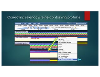 Correcting selenocysteine-containing proteins
 