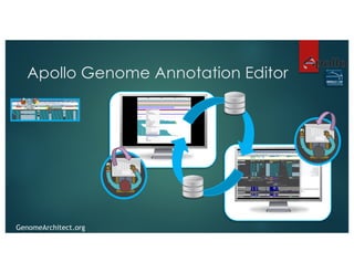 Apollo Genome Annotation Editor
GenomeArchitect.org
 