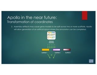 2. Assembly artifacts may cause gene models to be split across two or more scaffolds. Apollo
will allow generation of an artificial space where the annotation can be completed.
Scaffold 2Scaffold 1
Genome
Assembly
. . . . . .
Scaffold n
Apollo in the near future:
Transformation of coordinates
 