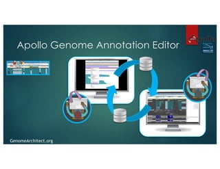 1. Bringing exons closer together to facilitate
annotation of gene models with long introns.
1,275	bp	
Concept for Apollo ...