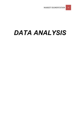 MARKET SEGMENTATION   12




DATA ANALYSIS
 