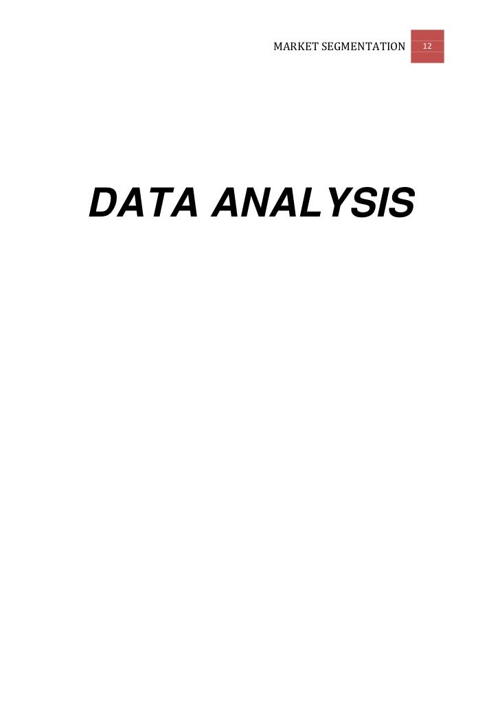 Market segmentation essay