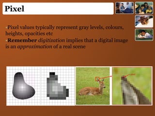 •Pixel values typically represent gray levels, colours,
heights, opacities etc
•Remember digitization implies that a digital image
is an approximation of a real scene
Pixel
1 pixel
 