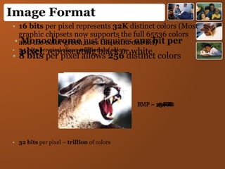 Image Format
• Monochrome just requires one bit per
pixel, representing black or white
BMP – 16 KB
• 8 bits per pixel allows 256 distinct colors
BMP – 119KB
• 16 bits per pixel represents 32K distinct colors (Most
graphic chipsets now supports the full 65536 colors
and the color green uses the extra one bit)
BMP – 234 KB
• 24 bits per pixel allows millions of colors
• 32 bits per pixel – trillion of colors
BMP – 350KB
 