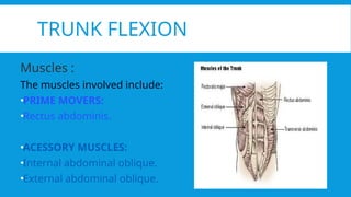 MANUAL MUSCLE TESTING OF CORE MUSCLES (abdominals) | PPTX