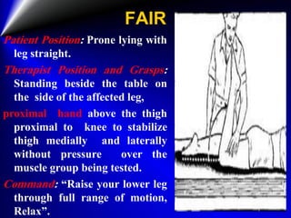MMT of Knee.pdf