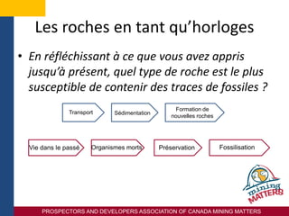 PROSPECTORS AND DEVELOPERS ASSOCIATION OF CANADA MINING MATTERS
Les roches en tant qu’horloges
• En réfléchissant à ce que vous avez appris
jusqu’à présent, quel type de roche est le plus
susceptible de contenir des traces de fossiles ?
Transport Sédimentation
Formation de
nouvelles roches
FossilisationPréservationOrganismes mortsVie dans le passé
 