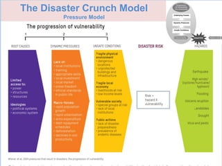 Disaster Management: How we see it today? | PDF