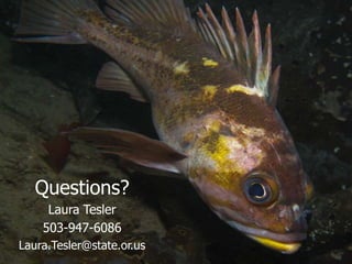 Questions?
     Laura Tesler
    503-947-6086
Laura.Tesler@state.or.us
 