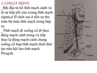 Mm đầu mặt cổ | PPTX