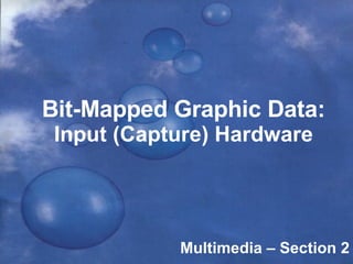 Bit-Mapped Graphic Data: Input (Capture) Hardware Multimedia – Section 2 