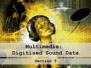 Multimedia:  Digitised Sound Data Section 3 