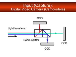Input (Capture): Digital Video Camera (Camcorders) 