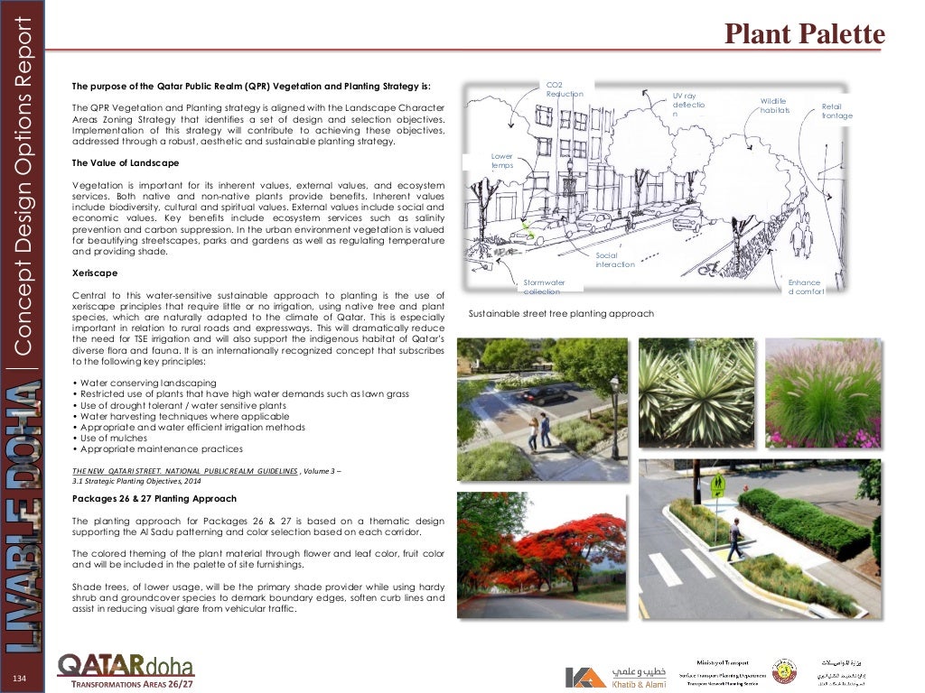 DRAFT Concept Design Report - Urban Design
