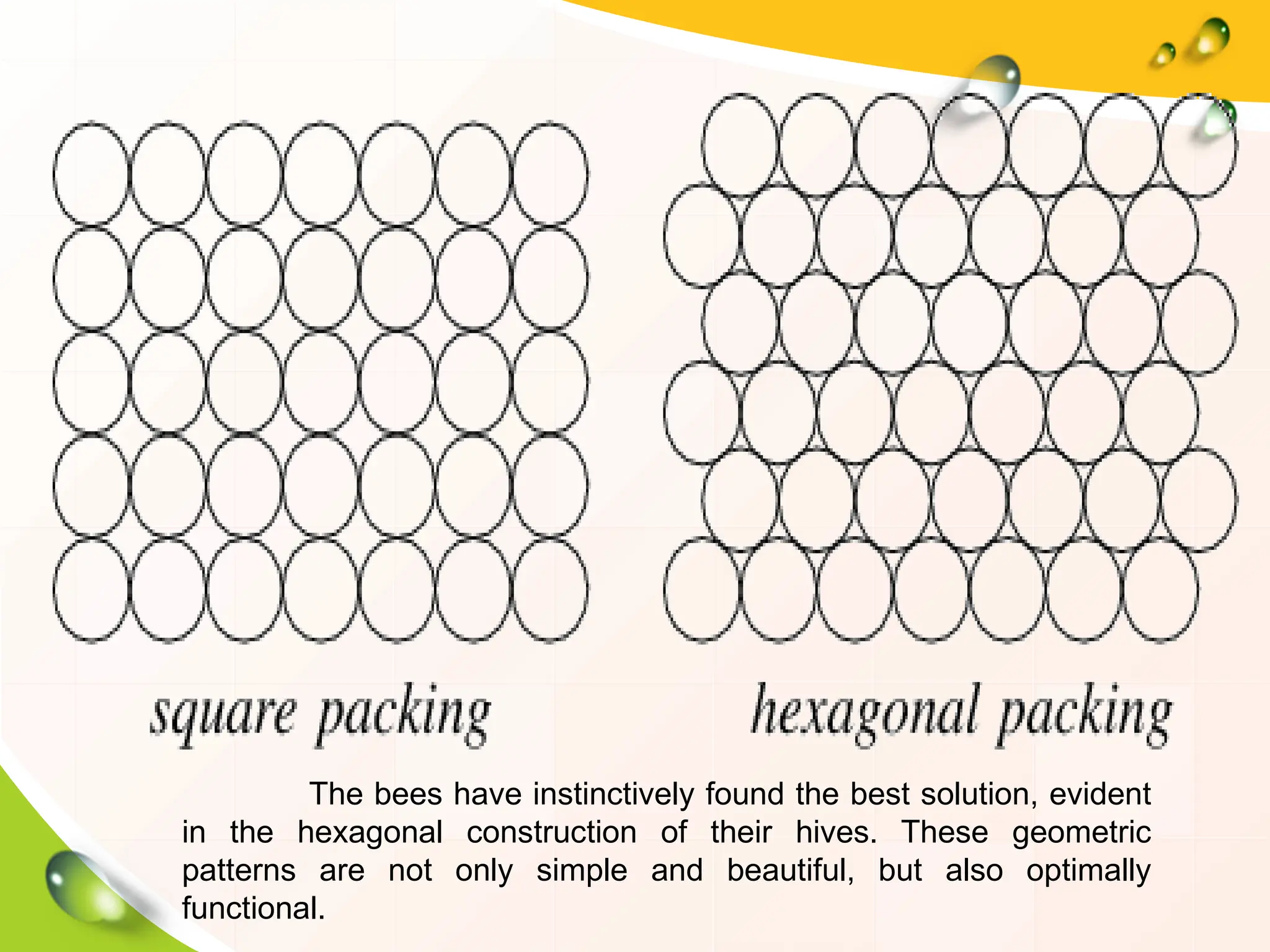 The bees have instinctively found the best solution, evident
in the hexagonal construction of their hives. These geometric
patterns are not only simple and beautiful, but also optimally
functional.
 