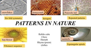 PATTERN IN NATURE IN MATHEMATICS IN THE MODERN WORLD | PPTX