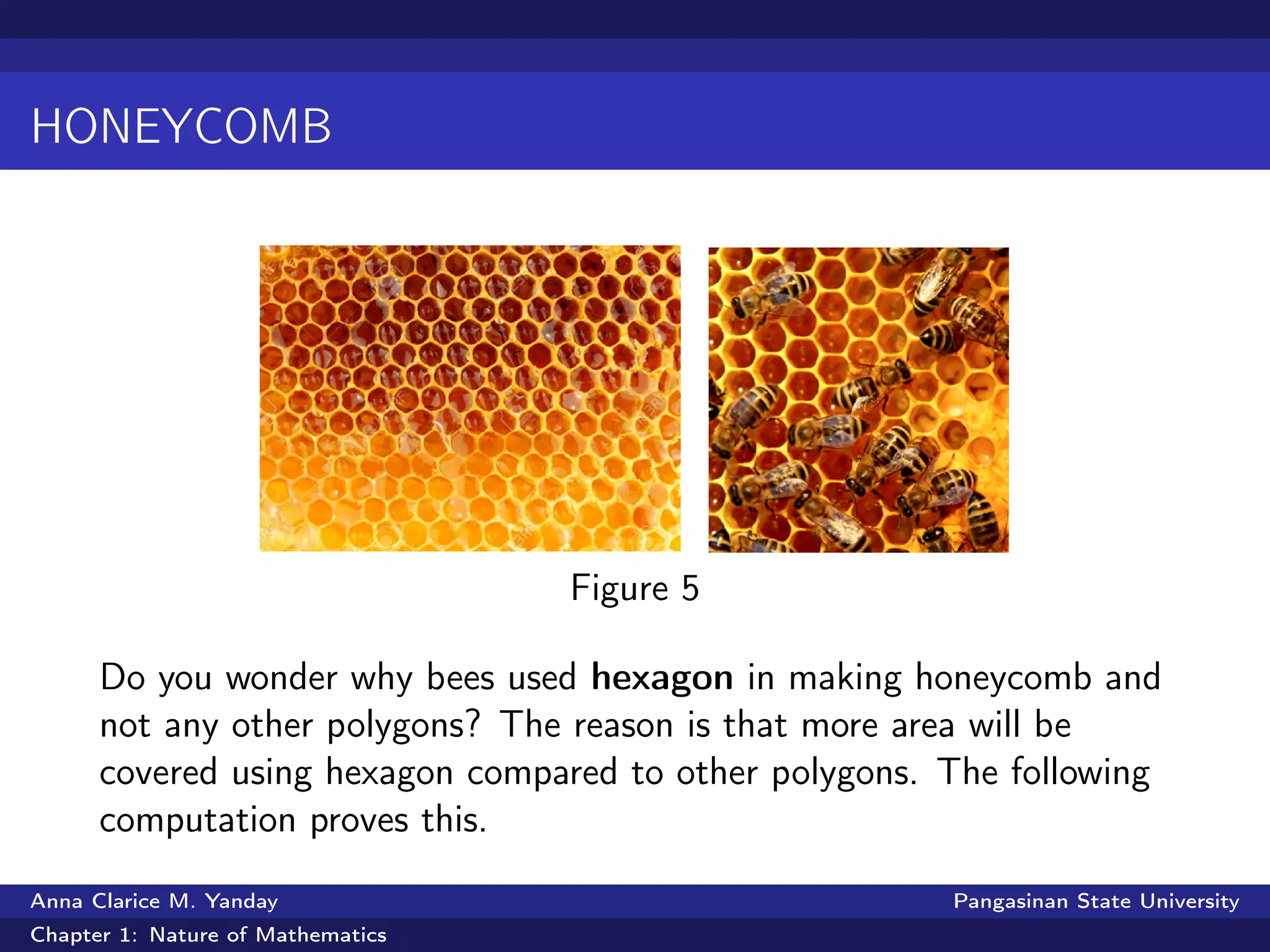 HONEYCOMB
Figure 5
Do you wonder why bees used hexagon in making honeycomb and
not any other polygons? The reason is that more area will be
covered using hexagon compared to other polygons. The following
computation proves this.
Anna Clarice M. Yanday Pangasinan State University
Chapter 1: Nature of Mathematics
 