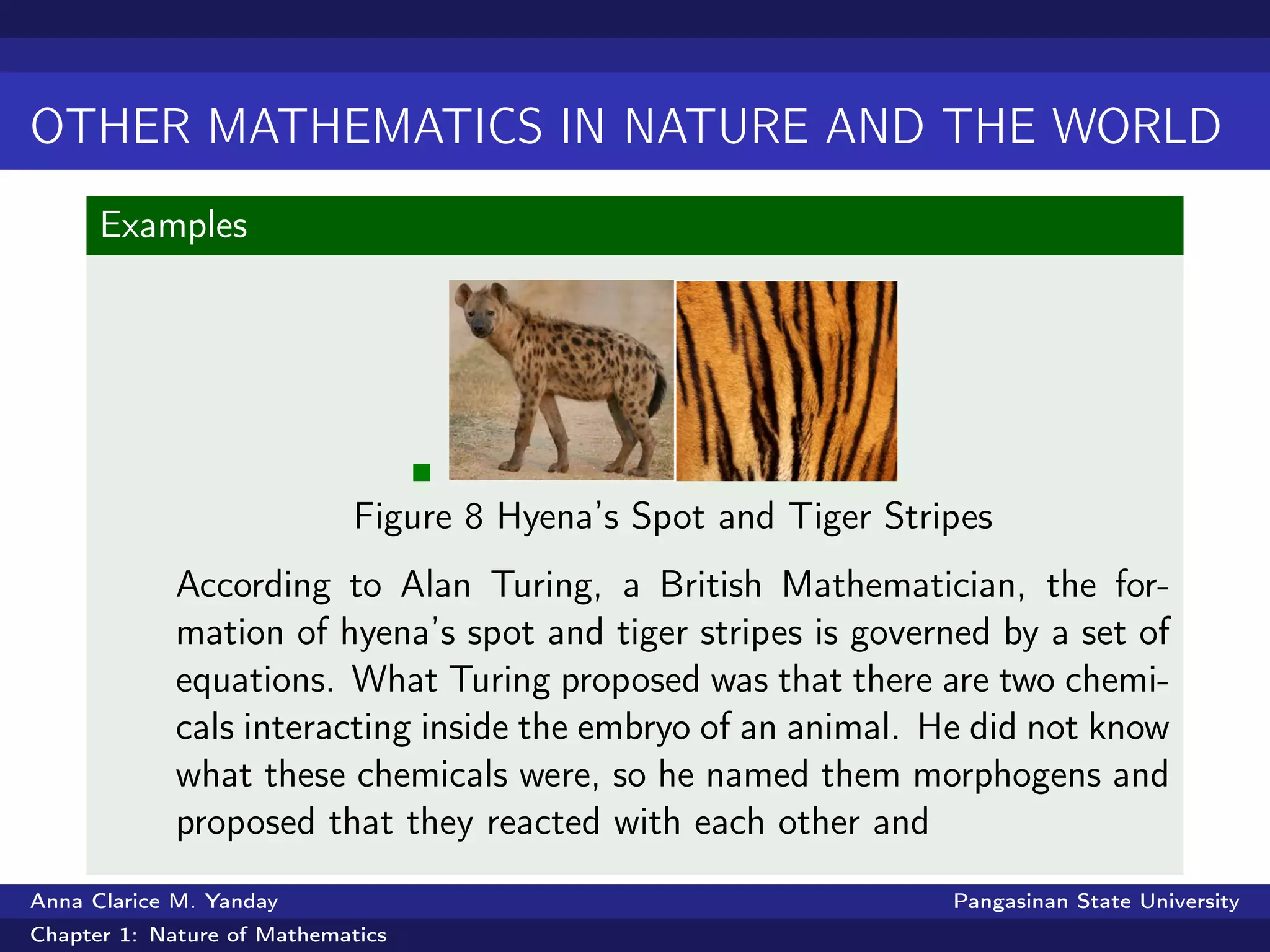 OTHER MATHEMATICS IN NATURE AND THE WORLD
Examples
Figure 8 Hyena’s Spot and Tiger Stripes
According to Alan Turing, a British Mathematician, the for-
mation of hyena’s spot and tiger stripes is governed by a set of
equations. What Turing proposed was that there are two chemi-
cals interacting inside the embryo of an animal. He did not know
what these chemicals were, so he named them morphogens and
proposed that they reacted with each other and
Anna Clarice M. Yanday Pangasinan State University
Chapter 1: Nature of Mathematics
 
