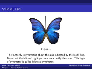 SYMMETRY
Figure 1
The butterﬂy is symmetric about the axis indicated by the black line.
Note that the left and right portions are exactly the same. This type
of symmetry is called bilateral symmetry.
Anna Clarice M. Yanday Pangasinan State University
Chapter 1: Nature of Mathematics
 