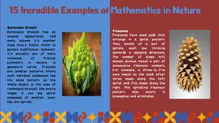 15 Incredible Examples of Mathematics in Nature
1. Romanesco Brocolli
Romanesco broccoli has an
unusual appearance, and
many assume it’s another
food that’s fallen victim to
genetic modification. However,
it’s actually one of many
instances of fractal
symmetry in nature. In
geometric terms, fractals
are complex patterns where
each individual component has
the same pattern as the
whole object. In the case of
romanseco broccoli, the entire
veggie is one big spiral
composed of smaller, cone-
like mini-spirals.
1. Pinecones
Pinecones have seed pods that
arrange in a spiral pattern.
They consist of a pair of
spirals, each one twisting
upwards in opposing directions.
The number of steps will
almost always match a pair of
consecutive Fibonacci numbers.
For example, a three–to–five
cone meets at the back after
three steps along the left
spiral and five steps along the
right. This spiralling Fibonacci
pattern also occurs in
pineapples and artichokes.
 