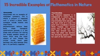 15 Incredible Examples of Mathematics in Nature
1. Honeycombs
Honeycombs are an example of
wallpaper symmetry. This is
where a pattern is repeated
until it covers a plane. Other
examples include mosaics and
tiled floors.
Mathematicians believe bees
build these hexagonal
constructions because it is the
shape most efficient for storing
the largest possible amount of
honey while using the least
amount of wax. Shapes like
circles would leave gaps
between the cells because they
don’t fit perfectly together.
1. Tree Branches
The Fibonacci sequence is so
widespread in nature that it
can also be seen in the way
tree branches form and split.
The main trunk of a tree will
grow until it produces a branch,
which creates two growth
points. One of the new stems
will then branch into two,
while the other lies dormant.
This branching pattern repeats
for each of the new stems.
 