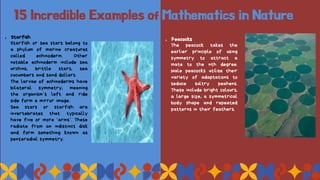 15 Incredible Examples of Mathematics in Nature
1. Starfish
Starfish or sea stars belong to
a phylum of marine creatures
called echinoderm. Other
notable echinoderm include sea
urchins, brittle stars, sea
cucumbers and sand dollars.
The larvae of echinoderms have
bilateral symmetry, meaning
the organism’s left and ride
side form a mirror image.
Sea stars or starfish are
invertebrates that typically
have five or more ‘arms’. These
radiate from an indistinct disk
and form something known as
pentaradial symmetry.
1. Peacocks
The peacock takes the
earlier principle of using
symmetry to attract a
mate to the nth degree.
Male peacocks utilise their
variety of adaptations to
seduce sultry peahens.
These include bright colours,
a large size, a symmetrical
body shape and repeated
patterns in their feathers.
 