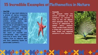 15 Incredible Examples of Mathematics in Nature
1. Starfish
Starfish or sea stars belong to
a phylum of marine creatures
called echinoderm. Other
notable echinoderm include sea
urchins, brittle stars, sea
cucumbers and sand dollars.
The larvae of echinoderms have
bilateral symmetry, meaning
the organism’s left and ride
side form a mirror image.
Sea stars or starfish are
invertebrates that typically
have five or more ‘arms’. These
radiate from an indistinct disk
and form something known as
pentaradial symmetry.
1. Peacocks
The peacock takes the
earlier principle of using
symmetry to attract a
mate to the nth degree.
Male peacocks utilise their
variety of adaptations to
seduce sultry peahens.
These include bright colours,
a large size, a symmetrical
body shape and repeated
patterns in their feathers.
 