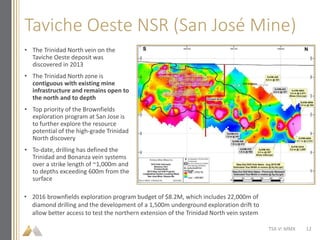 Taviche Oeste NSR (San José Mine)
TSX-V: MMX
• The Trinidad North vein on the
Taviche Oeste deposit was
discovered in 2013
• The Trinidad North zone is
contiguous with existing mine
infrastructure and remains open to
the north and to depth
• Top priority of the Brownfields
exploration program at San Jose is
to further explore the resource
potential of the high-grade Trinidad
North discovery
• To-date, drilling has defined the
Trinidad and Bonanza vein systems
over a strike length of ~1,000m and
to depths exceeding 600m from the
surface
• 2016 brownfields exploration program budget of $8.2M, which includes 22,000m of
diamond drilling and the development of a 1,500m underground exploration drift to
allow better access to test the northern extension of the Trinidad North vein system
12
 