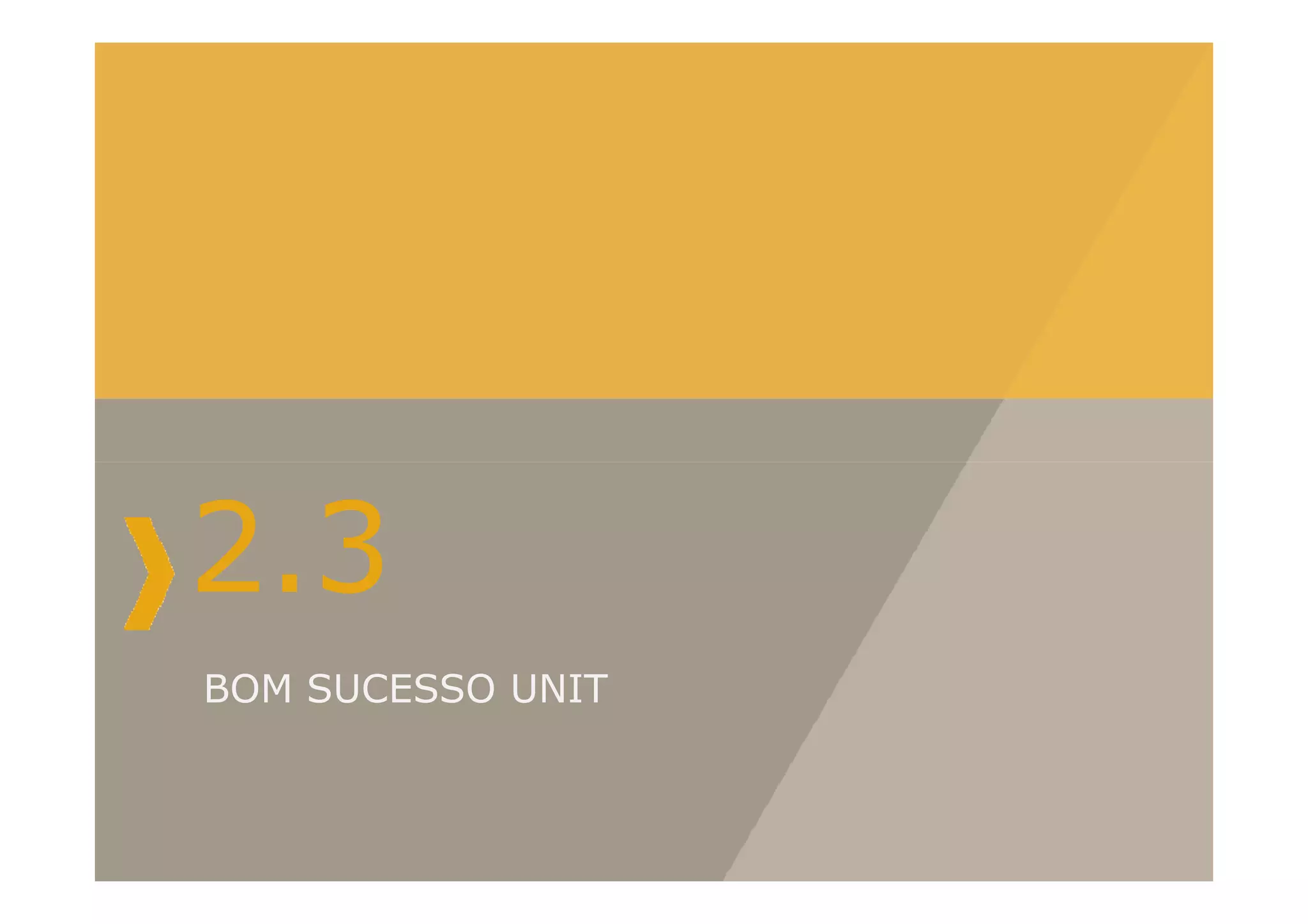 BOM SUCESSO UNIT
2.3
 