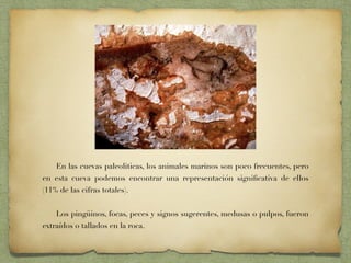 En las cuevas paleoliticas, los animales marinos son poco frecuentes, pero
en esta cueva podemos encontrar una representación signiﬁcativa de ellos
(11% de las cifras totales).
Los pingüinos, focas, peces y signos sugerentes, medusas o pulpos, fueron
extraídos o tallados en la roca.
 