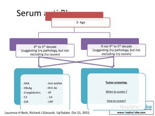 Serum anti PL
3- Age
4th to 5th decade
(suggesting 1ry pathology, but not
excluding 2ry causes)
- ANA - Anti dsDNA
- HBsAg - HCV Ab
- Cryoglobulins - RF
- C3 - C4
- ESR - CRP
If not 4th to 5th decade
(suggesting 2ry pathology, but not
excluding 1ry causes)
Tumor screening:
When to screen ?
How to screen?
Laurence H Beck, Richard J Glassock. UpTodate. Oct 21, 2015.
 
